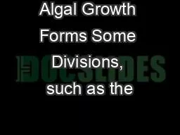 Algal Growth Forms Some Divisions, such as the