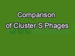 Comparison of Cluster S Phages