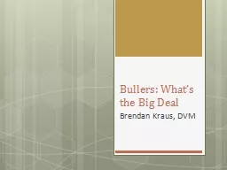 Bullers :  What’s the Big Deal