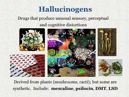 Hallucinogens Drugs that produce unusual sensory, perceptual