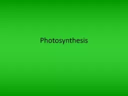 Photosynthesis Autotrophs & Heterotrophs