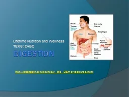 Digestion Lifetime Nutrition and Wellness