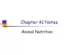 Chapter 41 Notes Animal Nutrition