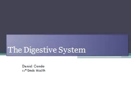 The Digestive System Daniel Condo