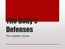 The Body’s Defenses The lymphatic System