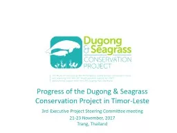 Progress of the Dugong & Seagrass Conservation Project in Timor-Leste