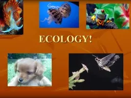 ECOLOGY! *Ecology= the study of interactions among organisms and their environments.