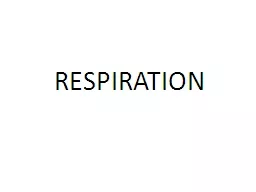 RESPIRATION Aerobic respiration