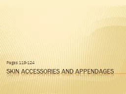 PPT-Skin Accessories and Appendages