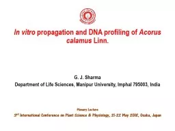 In vitro  propagation and DNA profiling of