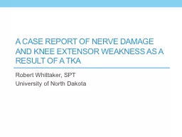 A Case Report of Nerve Damage and Knee Extensor Weakness as a Result of a TKA