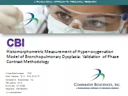 CBI Histomorphometric  Measurement of