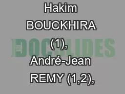 Hakim BOUCKHIRA (1),  André-Jean REMY (1,2),