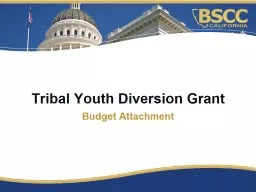 Budget Attachment  Tribal Youth Diversion Grant