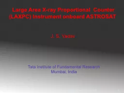 Large Area X-ray Proportional  Counter