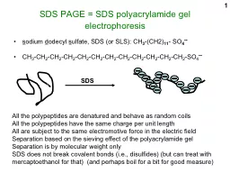1 SDS PAGE = SDS polyacrylamide gel electrophoresis