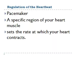 Regulation of the Heartbeat