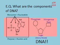 E.Q. What are the components of DNA?