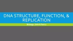 DNA  Structure, Function, & Replication