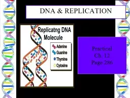 PPT-Practical Ch. 12 Page 286