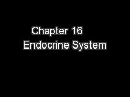 Chapter 16     Endocrine System