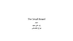 PPT-The Small Bowel اعداد