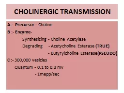 PPT-CHOLINERGIC TRANSMISSION