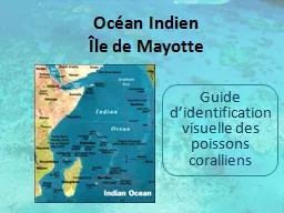 Océan Indien  Île de Mayotte