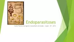 Endoparasitoses Curso Técnico de Agente Comunitário de Saúde – Cajati – SP –