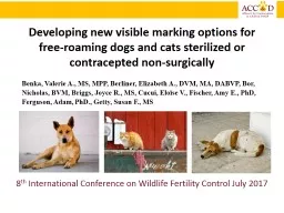 Developing new visible marking options for free-roaming dogs and cats sterilized or