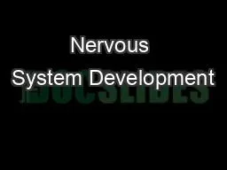 Nervous System Development
