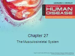 PPT-Chapter 27 The Musculoskeletal System