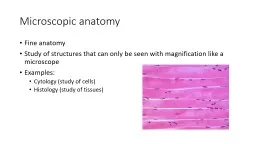 Microscopic anatomy Fine anatomy