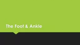 The Foot & Ankle Foot & Ankle