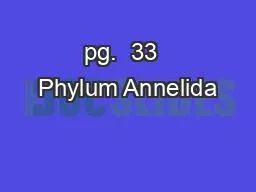 pg.  33  Phylum Annelida