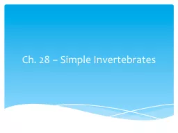 Ch. 28 – Simple Invertebrates