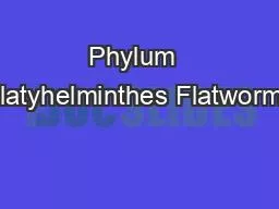 Phylum  Platyhelminthes Flatworms