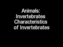 Animals: Invertebrates Characteristics of Invertebrates