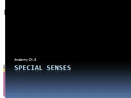 Special Senses Anatomy Ch. 8