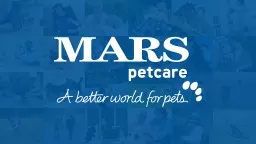 Today, Mars Petcare is one of the world’s leading pet care providers. Our brands offer quality an