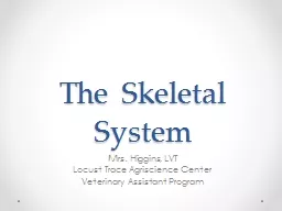 The Skeletal System  Mrs. Higgins, LVT