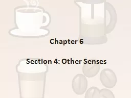 Chapter 6 Section 4: Other Senses