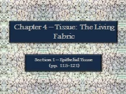 Chapter 4 – Tissue:  The Living Fabric