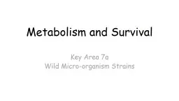Metabolism and Survival Key Area