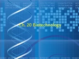 PPT-Ch. 20 Biotechnology DNA cloning yields multiple copies of a gene or other DNA segment