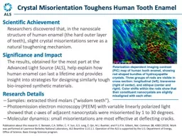 Research Details Samples: extracted third molars (