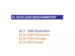 § 4.3    DNA Replication