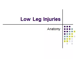 Low Leg Injuries Anatomy