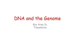 PPT-DNA and the Genome Key Area