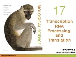 PPT-0 Transcription RNA Processing, and Translation